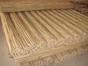 [Hot Item] Dry Straight Agriculture Cheap Raw Bamboo Poles Manufactures for Garden Plant Tonkin Bamboo Cane