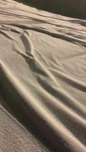 Friday night fun!! Magical Nights of Lights and Snow Island open tonight! We had the opportunity to test out Parrot Mountain last night. So fast! So Fun! Margaritaville at Lanier Islands | Lanier Islands Resort