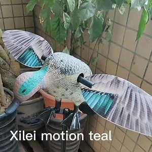 Turkey Hunting Wholesale Teal Decoy Dc 6V Remote Control Hdpe Plastic Decoy Duck Motor Decoy With Spinning Wing From Xilei