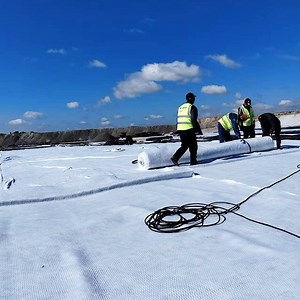 [Hot Item] China Manufactured Needle-Punched Nonwoven Geotextile for Coastal Defense