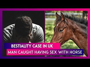 Bestiality Case In UK: Man Caught Having Sex With Horse In Kent