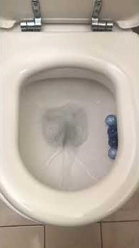 What happens if you flush a toilet in Australia?