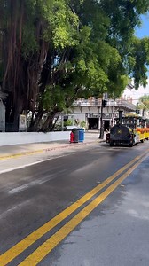 A nice morning ride down Duval Street to our gallery 🛵😎. - #duvalstreet #keywest #keywestlife | Backyards of Key West Gallery