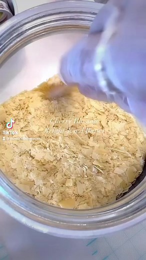 2K views | Oh yes, here comes the pink highlighter! Meet the newest addition to our Sun-Kisses Makeup collection….Cherry Blossom Bright-Eyed Butter Highlighter  This creamy buttery highlighter is perfect for brightening eyes. Adds a shimmery glow of cherry blossom colour across lids, at the inner corner of the eyes, and along the brow bone. | Nuworld Botanicals | Facebook