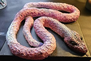 3D Snake Sculpture: Prismatic Mixed Media Serpent on Canvas - Etsy