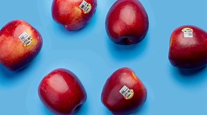 What are Cosmic Crisp® Apples? | Stemilt Growers
