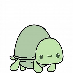 hand drawn quirky cartoon turtle design