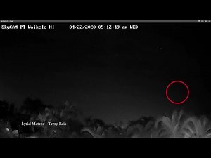 The Lyrid meteor shower of 2020