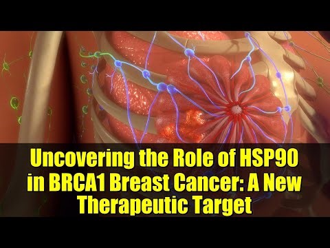 Uncovering the Role of HSP90 in BRCA1 Breast Cancer: A New Therapeutic Target