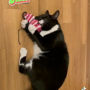 Try our catnip and valerian mice! 🤩🥰😹 #catfurnature #cattoy #catnip #valerian | Cat Fur Nature .co.uk