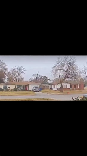 Squirrel gives resident the business in his own lawn. | Eric Fox