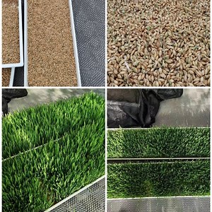 [Hot Item] Hydroponic Barley Fodder System Machine Turkey Long Fodder Tray
