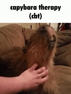 29 reactions | Dale Gribble, Anarchist on Reels | Facebook