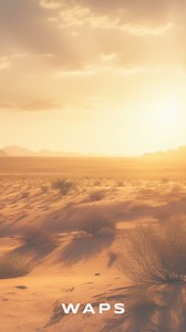 84K views · 371 reactions | ¡Las Model Tex de Waps ya están aquí! 鸞 Más altura, más estilo, más comodidad. Disfruta de un calzado que te hará sentir única y especial en cada paso. ¡No esperes más y consigue las tuyas antes de que se agoten! | WAPS | Facebook