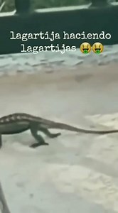 es fanática de lo sensual🤑 ella tiene una foto mía🤨