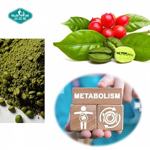 [Hot Item] Nutrifirst Wholesale Raw Material Green Coffee Bean Extract Powder