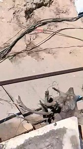 Pamela Cifuentes tienes podrido tu corazón lacagaste l avarica te la gana más q todo y tu bien sabes q esto dónde estoy ahora me pertenece por derecho y tu lo sabes yaq Fuy yo el q vivio sy infancia en esta casa y tu no | Ramon Cifuentes