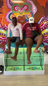 107K views · 10K reactions | Welcome to the Paradise Club!藍藍藍 #paradisepedis #fishspa #fishpedicure #bahamas #thingstodoinnassau | Paradise Pedis | Facebook
