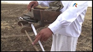 GRAIUL DE LA MACEA I În câmp cu uica Doru descoperim graiul dulce de la Macea din județul Arad. Cu o unealtă de lemn, mai veche de vreo sută de ani, dar cu o inginerie care bate multe manuale tehnice, uica ne arată cum semăna pe vremuri țăranul român . O istorie care se estompează pe zi ce trece cu fiecare generație care dispare. Încercăm să recuperăm graiul, ca simbol al identității, și acesta pus în pericol de împrumutul cuvintelor englezești care își fac din ce în ce mai mult loc în vocabular