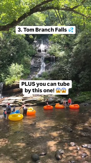 Alexys & Erica 🌲 Responsible Outdoor Recreation on Instagram: "Waterfall paradise 😍 If you’re looking for an easy trail to THREE waterfalls in the Smokies, look no further than… 📍Deep Creek Waterfall Loop! This 2.4-mile trail is located near the Bryson City, NC entrance of Great Smoky Mountains National Park. And not only does this trail lead to 3 beautiful waterfalls but the creek is a popular tubing route in the summer! In fact, you actually tube right past one of the waterfalls!!!😱😍 Want