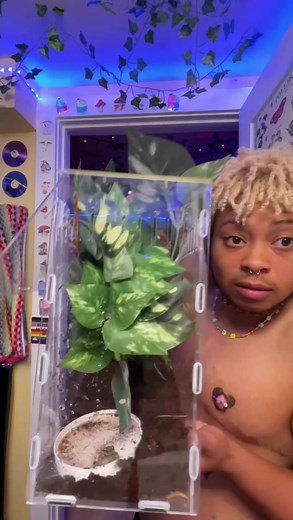 Feeding my frog 🐸 💕 help me name him 🫶🏽 #transgender #topsurgery #ftmtransgender #ftmtopsurgery #topsurgeryftm #hehim #ftm #transgenderftm #hehim #hehimhis #topsurgeryrecovery #ftm #fashion #art #lgbt #transman #transguy #trans #gecko #geckos #crestedgecko #crestedgeckos #beardeddragon #reptile #reptilesoftiktok #reptilesofinstagram #frog #frogs #frogtok🐸 #frogtok #frogtiktok #froggy #frogsoftiktok