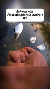 #Tiernotruf #Tierrettung #Tierschutz #AnimalRescue #WildlifeRescue