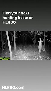 It’s not too late to start your 2023 hunting lease search. Check out all the latest leasing options on HLRBO #hlrbo #hunting #deerhunting #landowners #huntinglease | Hunting Land Rentals by Owner