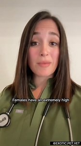 #rabbit #rabbits #bunny #bunnies #zoo #exotics #wildlife #rescue #conservation #animals #pets #nature #vet #vetmed #veterinarian #veterinary #medicine #veterinarymedicine #veterinaria #medical #doctor #premed #prevet #vettech #dvm #wearfigs #scrublife | Dr. Rachel, Exotic Pet Vet