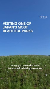 Depending on the time of the year, Hitachi Seaside Park in Ibaraki, Japan is absolutely covered in flora in colors ranging from green, red, and even blue. Legend has it, a walk through the park is supposed to help with any wackness from 2023 so our resident wack ass host @omar.prazhari put this to the test to see if it can cure his wack 🌿☘️🌱 | VICE India