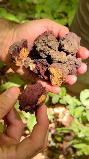 Firestarter from Nature: Turning Tree Burl into a Long-Burning Firestarter