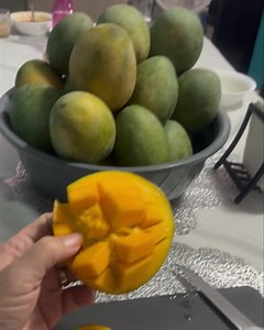 Después de todo lo pasado, Gustan ?? | EL PUMA DE SINALOA