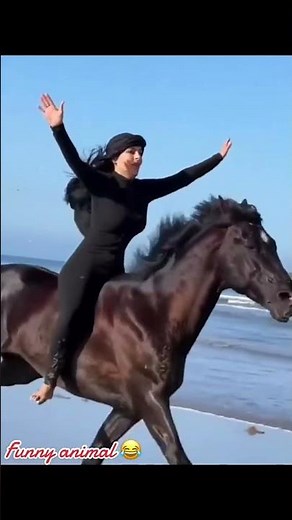 Woman Galloping Bareback on Horse at Beach#horsebackriding #beachride #barebackriding