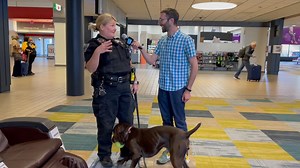 15K views · 324 reactions | How do Pittsburgh's bomb sniffing dogs hone their noses? We tag along with the Allegheny County Police Department's K9 Unit to find out on this installment of Yinzer Backstage Pass. | NEXTpittsburgh | Facebook