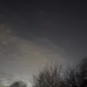 Toronto Wildlife Centre on Reels