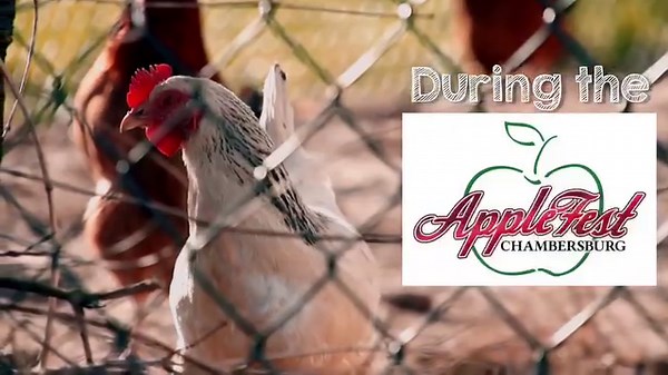 Another Boost Mobile event to look forward to! Join us in Chambersburg, PA on October 21st from 9am-4pm for some fun. 🐔🐇 #GetAfterIt #BoostMobile | Boost Mobile