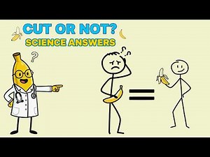 Foreskin vs Circumcision | Medical Facts You Should Know