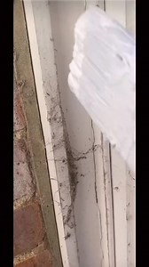 When you take your wife to the job site #fail #viralreel #remodel #AEWDynamite #reelsvideo | Eber O Guevara