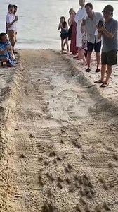 Jedeeemm 😍😍😍😍😍😍 | Petra Dankova