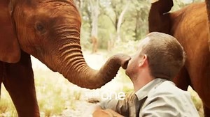 9.4K views · 104 reactions | Remarkable animal intelligence that has the experts baffled. 'Ingenious Animals' starts Thursday 8pm BBC One. | BBC | Facebook