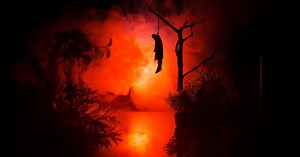 Top 10 Truly Disturbing Facts About Japan's Suicide Forest