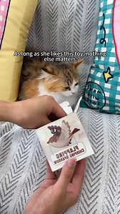 616 reactions · 47 shares | Realistic flying toy offering exciting motion, chase fun, and instinct-boosting playtime every day 易 | Furry Basics | Facebook