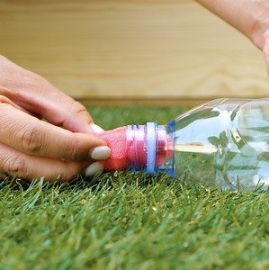 3.1K views | Dicas de jardinagem para iniciantes para você! | Ideias Incríveis TEENS | Facebook