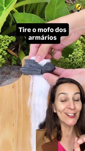 Manual das dicas saudaveis on Instagram: "Essa dica vai deixar a sua casa livre dos mofos com aroma mais gostoso#dicas #casas #mofo"