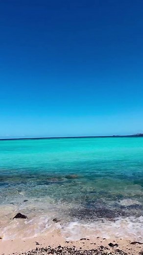 Mesmerising aqua views at Shell Beach 💙. Located around the corner from Turtle Island's main beach, this pristine spot is available for private picnic lunches, snorkeling or to simply float in the lagoon in complete solitude. #turtlefiji #privateisland #fiji | Turtle Island Fiji