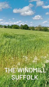 1.2K views | Fancy staying in a Windmill this summer? How about the...