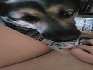 First time getting my shy dog to lick me