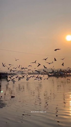 Sukoon ❤️😍 . . . . @mai_ke_deewane_jabalpur_wale Follow for more 👍 | Mai_ke_deewane_jabalpur_wale