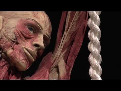 Opening BODY WORLDS: The Happiness Project in Amsterdam