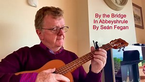This is the brilliant Sean Fagan with a song he wrote called "By The Bridge In Abbeyshrue" And he is From Ballyjamesduff County Cavan. | Singing Session Videos