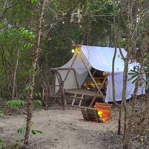 Shelter Bushcraft In Jungle | Bushcraft Solo Skills